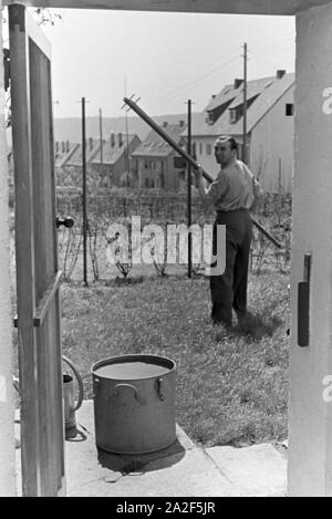 Der Autorennfahrer Hermann Lang bei der Gartenarbeit, Deutschland 1930 er Jahre. Le pilote de course Hermann Lang fait quelques travaux de jardinage, de l'Allemagne des années 1930. Banque D'Images