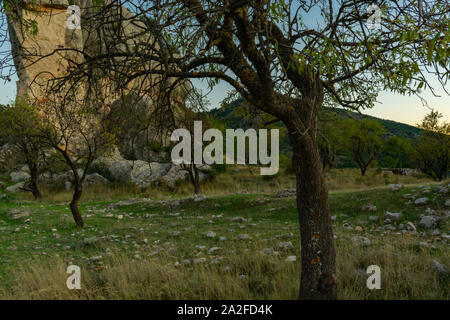 L'amandier est un arbre abondant en Benizar, village de Ronda (Espagne) Banque D'Images