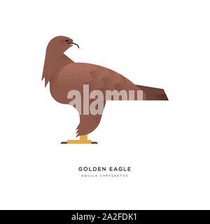 Golden Eagle illustration isolées sur fond blanc, l'Amérique du Sud animaux oiseaux zoo concept. La faune La faune de l'éducation conception avec nom de l'espèce lab Illustration de Vecteur