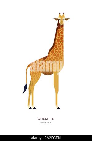 Girafe africaine illustration sur fond blanc, isolés ou zoo safari animal concept. La faune La faune de l'éducation conception avec nom de l'espèce l'étiquette. Illustration de Vecteur