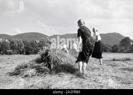 Schüler des Schülerheims Kolonial Harzburg bei der Arbeit, Deutsches Reich 1937. Les étudiants de l'école résidentielle coloniale Harzburg au travail ; Allemagne 1937. Banque D'Images