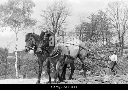 Ein rheinischer Bauer bei der Arbeit, Deutsches Reich 1930er Jahre. Un agriculteur rhénane, de l'Allemagne des années 1930. Banque D'Images