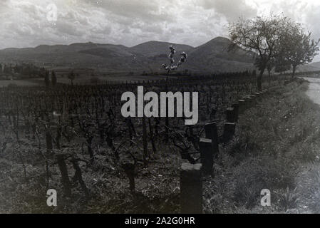 Ein Ausflug zur Weinstraße in der Pfalz, Deutsches Reich 1930er Jahre. Une excursion à la Route des Vins allemande dans le Palatinat, Allemagne 1930. Banque D'Images