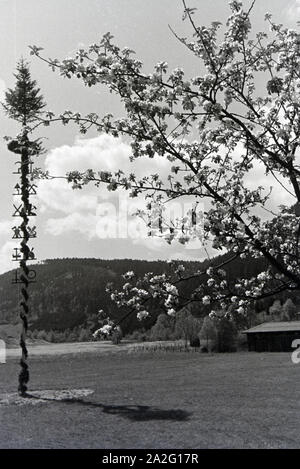 Ein Ausflug nach Hirschhorn am Neckar, Deutsches Reich 1930er Jahre. Une excursion à Hirschhorn à côté du Neckar, Allemagne 1930. Banque D'Images