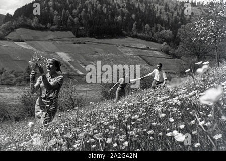 Ein Ausflug nach Alpirsbach im Schwarzwald, Deutsches Reich 1930er Jahre. Une excursion à Hornberg en Forêt-Noire, Allemagne 1930. Banque D'Images