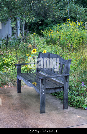 Banc de parc en bois humide, dans un parc à la pluie de fleurs sauvages Banque D'Images