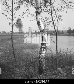 Unterwegs in und um Dinkelsbühl dans Mittelfranken, Deutschland 1930er Jahre. À et autour de la ville de Dinkelsbuehl en Thuringe, Allemagne 1930. Banque D'Images