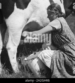 Ein Mädchen beim Melken der Kühe im Umland von Bremen, Allemagne Allemagne Années 1930 er Jahre. Une fille traire une vache à l'environnement rural de Brême, Allemagne 1930. Banque D'Images