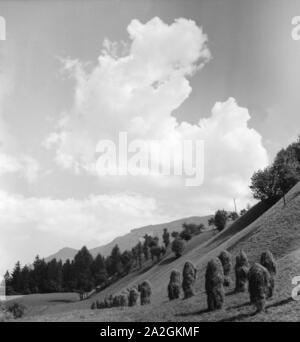 Ein Ausflug nach Tirol, Deutsches Reich 1930er Jahre. Un voyage au Tyrol, Allemagne 1930. Banque D'Images