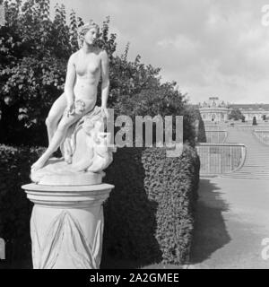 Im Park von Schloss Sanssouci de Potsdam, Deutschland 1930 er Jahre. Dans les jardins du château de Sanssouci à Potsdam, Allemagne 1930. Banque D'Images