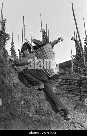 Dans Moselbauern Beilstein auf dem Weg zur Arbeit in den Weinberg, Deutschland 1930 er Jahre. Les vignerons sur leur lieu de travail, de l'Allemagne des années 1930. Banque D'Images