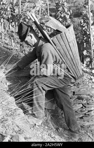 Dans Moselbauern Beilstein auf dem Weg zur Arbeit in den Weinberg, Deutschland 1930 er Jahre. Les vignerons sur leur lieu de travail, de l'Allemagne des années 1930. Banque D'Images