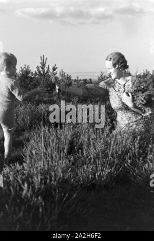 Dans der märkischen Landschaft bei Berlin, Deutschland 1930er Jahre. À Maerkische Landschaft, près de Berlin, Allemagne 1930. Banque D'Images