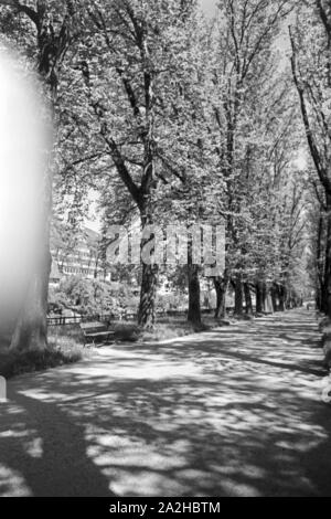 Ein Ausflug nach Tübingen, 1930er Jahre Deutsches Reich. Un voyage à Tübingen, Allemagne 1930. Banque D'Images