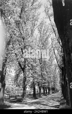 Ein Ausflug nach Tübingen, 1930er Jahre Deutsches Reich. Un voyage à Tübingen, Allemagne 1930. Banque D'Images