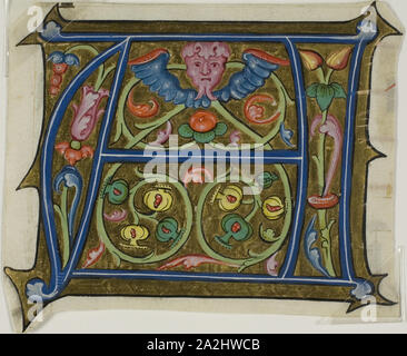 Décoré avec une initiale et grotesque de la flore d'un choeur livre, 15ème siècle, Français, France, manuscrit de la coupe dans la tempera et feuille d'or sur vélin, 94 × 113 mm Banque D'Images