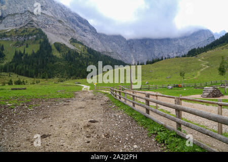 Alpages et prairies dans les Alpes autrichiennes Banque D'Images