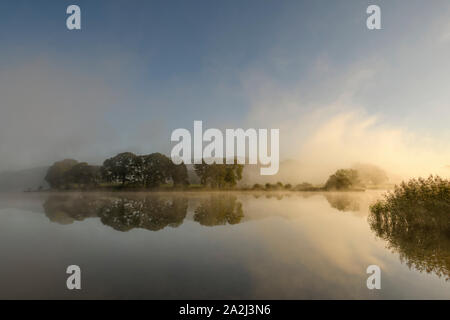 Arbres se reflétant dans le lac d''Esthwaite Water près de Hawkshead comme le soleil perce la brume d'automne tôt le matin Banque D'Images