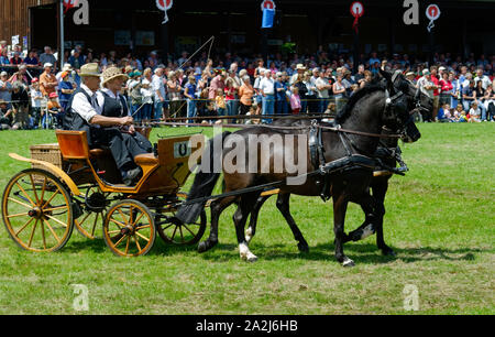 'Pferdemarkt' (marché des chevaux) à Beerfelden (partie d'Oberzent): Démonstration avec transport (transport et paire), district d'Odenwald, Hesse, Allemagne Banque D'Images