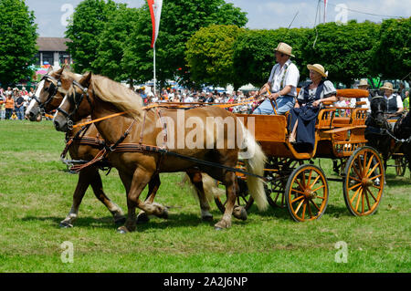 'Pferdemarkt' (marché des chevaux) à Beerfelden (partie d'Oberzent): Démonstration avec transport (transport et paire), district d'Odenwald, Hesse, Allemagne Banque D'Images