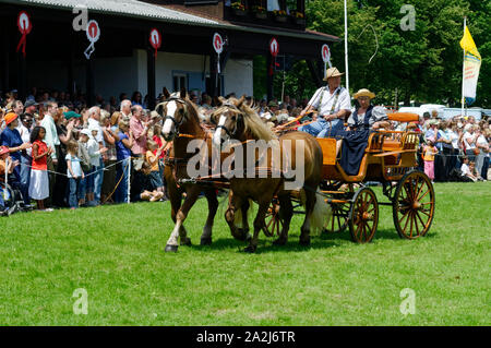 'Pferdemarkt' (marché des chevaux) à Beerfelden (partie d'Oberzent): Démonstration avec transport (transport et paire), district d'Odenwald, Hesse, Allemagne Banque D'Images