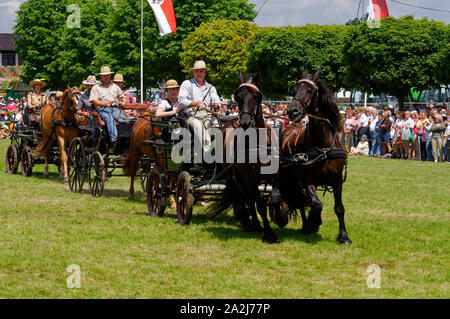 'Pferdemarkt' (marché des chevaux) à Beerfelden (partie d'Oberzent): Démonstration avec des voitures (calèche et paire), district d'Odenwald, Hesse, Allemagne Banque D'Images
