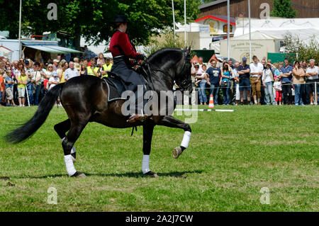 'Pferdemarkt' (marché des chevaux) à Beerfelden (partie d'Oberzent): Manifestation avec cheval, district d'Odenwald, Hesse, Allemagne Banque D'Images