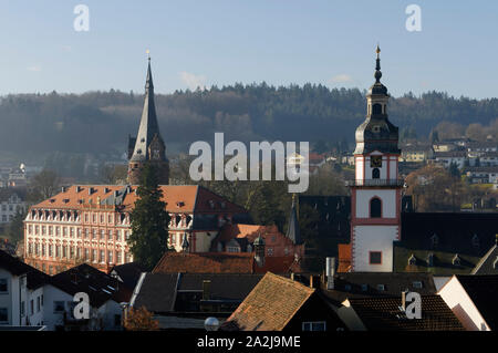 Erbach dans la région d'Odenwald : vue sur le château d'Erbach et le clocher de l'église paroissiale, district d'Odenwald, Hesse, Allemagne Banque D'Images