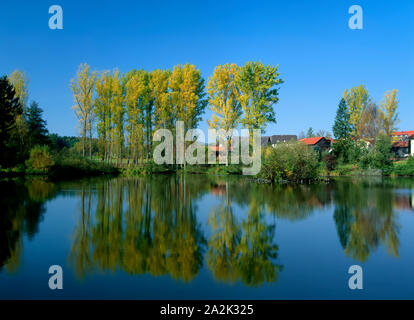 Bassin de Villape à Rehbach (zu Michelstadt) dans le district d'Odenwald, Hesse, Allemagne Banque D'Images