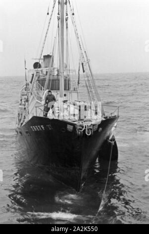 Das 'Fangboot Mutterschiff Treff VI' vom 'Jan Wellem' der deutschen Walfangflotte in der Arktis, 1930er Jahre. La chasse baleinière bateau "Treff VI' de mère navire 'Jan Wellem' de la flotte allemande à la mer Arctique, 1930. Banque D'Images