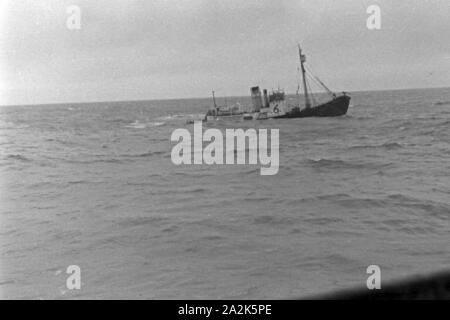 Das 'Fangboot Mutterschiff Treff VI' vom 'Jan Wellem' der deutschen Walfangflotte in der Arktis, 1930er Jahre. La chasse baleinière bateau "Treff VI' de mère navire 'Jan Wellem' de la flotte allemande à la mer Arctique, 1930. Banque D'Images