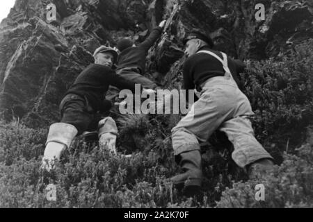 Drei Männer der Besatzung des Walfangfabrikschiffs «Jan Wellem' beim Klettern auf den Bergen der Insel Südgeorgien, 1930er Jahre. Trois membres de l'équipage du navire "facotry Jan Wellem' escalade en montagne en Géorgie du Sud, 1930. Banque D'Images