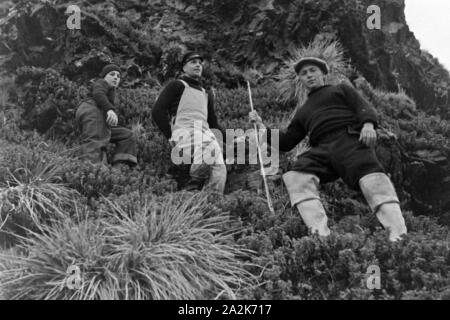 Drei Männer der Besatzung des Walfangfabrikschiffs «Jan Wellem' beim Klettern auf den Bergen der Insel Südgeorgien, 1930er Jahre. Trois membres de l'équipage du navire "facotry Jan Wellem' escalade en montagne en Géorgie du Sud, 1930. Banque D'Images