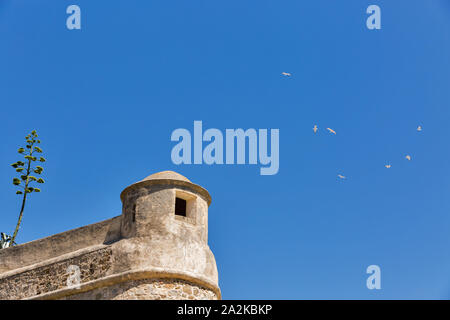 Forteresse Miollis et Raphael sur la mer plage à Ajaccio, Corse, France. Il a été construit par les Génois république entre 1492 et 1789 Banque D'Images