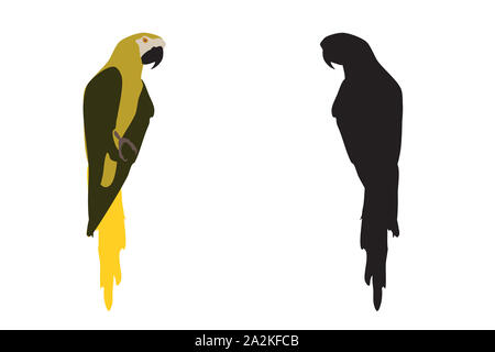 Ara oiseau posé isolé sur fond blanc. Perroquet tropical simple d'icônes. Logo de l'Ara en couleurs et silhouette noire Banque D'Images