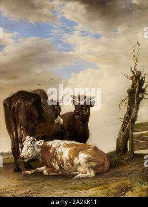 Deux vaches et un jeune taureau à côté d'une clôture dans un pré, 1647, Paulus Potter, néerlandais, Pays-Bas, 1625-1654, huile sur panneau, 19 × 1/2 14 3/4 in. (49,5 × 37,2 cm Banque D'Images