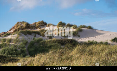 Dunes herbeuses sur l'île de Terschelling Banque D'Images