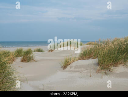 Dunes herbeuses sur l'île de Terschelling Banque D'Images