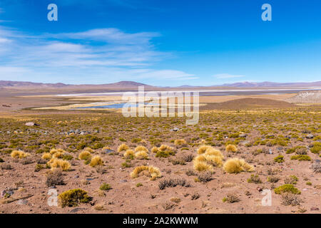 Chemin à travers les Andes de l'Argentine ville de Susques à la communauté chilienne du Jama à San Pedro de Atacama, Chili, Amérique Latine Banque D'Images