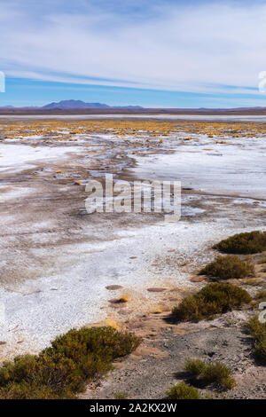 Chemin à travers les Andes de l'Argentine ville de Susques à la communauté chilienne du Jama à San Pedro de Atacama, Chili, Amérique Latine Banque D'Images