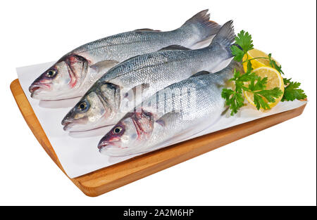 Loup de mer frais Banque D'Images