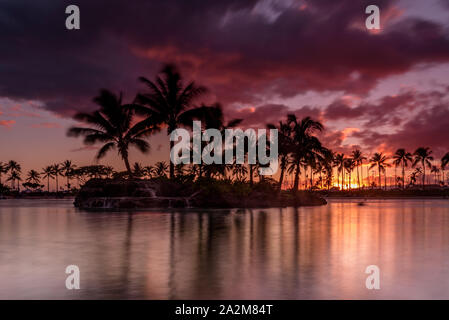 Coucher de soleil sur une plage hawaïenne. Le ciel est violet, rouge et orange, comme le soleil plonge derrière la silhouette des palmiers, sur Oahu, Hawaii Banque D'Images