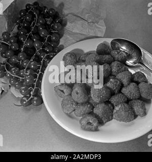 Nahaufnahme von und mit einem Scrutateurs Himbeeren Zweig Johannisbeeren, Deutschland 1930 er Jahre. Vue rapprochée d'une plaque avec les framboises et une succursale de groseille blanc, Allemagne 1930. Banque D'Images