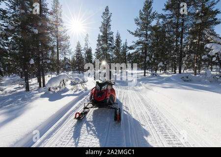 Moottorikelkkailua hangella Lapissa talvella. Nainen ajaa. Banque D'Images