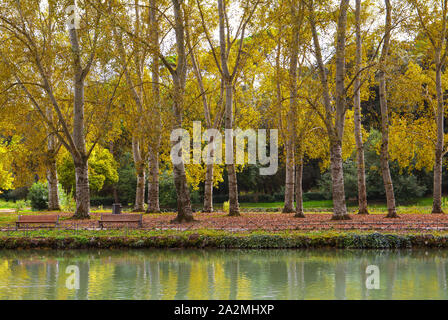 Rome (Italie) - l'automne à Villa Ada, le plus grand parc public de Rome avec lac et forêt Banque D'Images