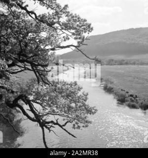 Oberes Donautal, Deutschland 1930 er Jahre. La vallée du Danube, l'Allemagne des années 1930. Banque D'Images