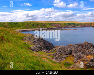 Rocky Scottish littoral de la mer du Nord dans la ville de Eyemouth Banque D'Images