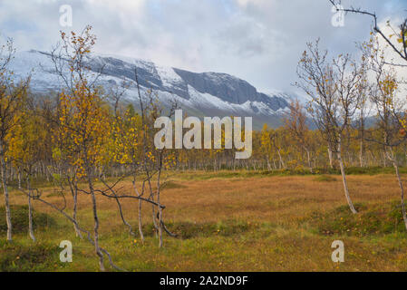 Couleurs d'automne dans le comté de Troms, Norvège Banque D'Images