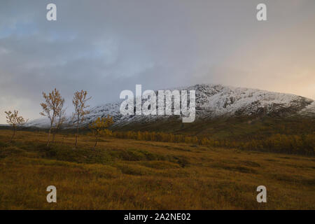 Couleurs d'automne dans le comté de Troms, Norvège Banque D'Images