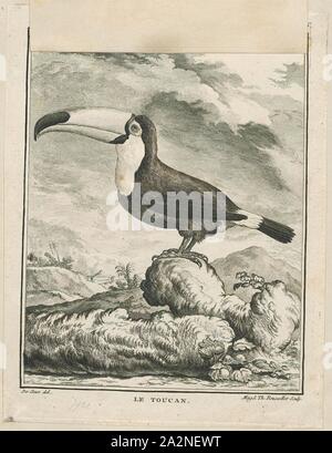 Ramphastos toco, Imprimer, le Toucan Toco (Ramphastos toco), également connu sous le nom de la politique commune de toucan, toucan géant ou simplement toucan, est le plus grand et probablement le plus connu dans la famille de Toucan. On la trouve dans des habitats semi-ouverts dans une grande partie de l'Europe centrale et de l'Amérique du Sud. C'est une attraction commune dans les zoos, 1700-1880. Banque D'Images